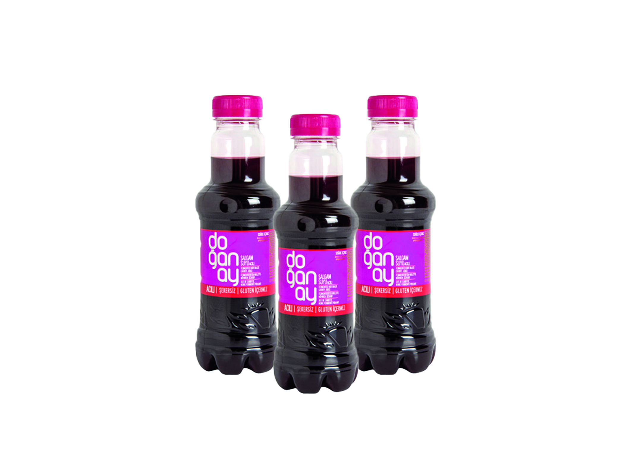 (Bild für) Doganay Rübensaft scharf 0,3L 24