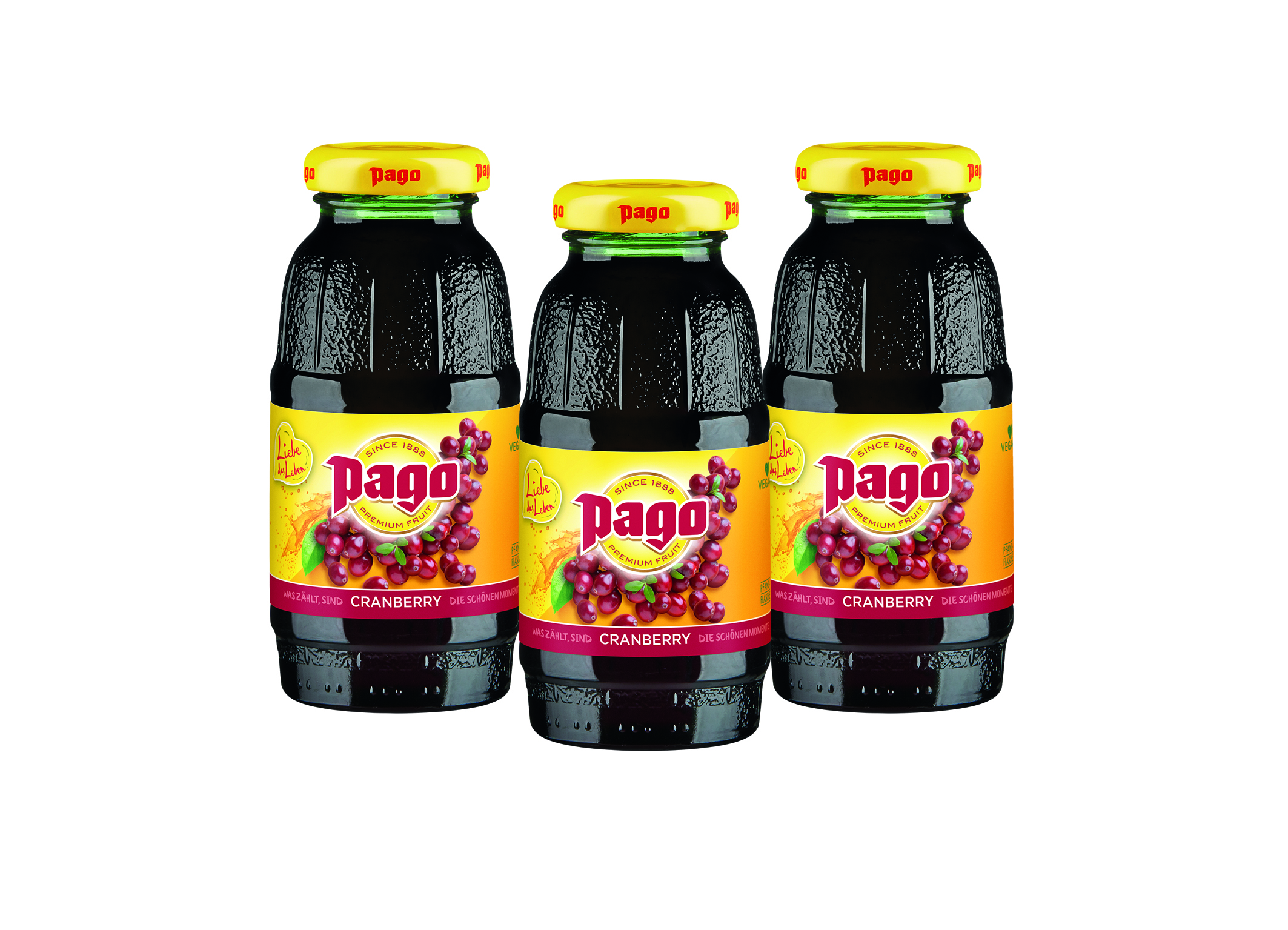 (Bild für) Pago Cranberry 0,2L FL MW 24