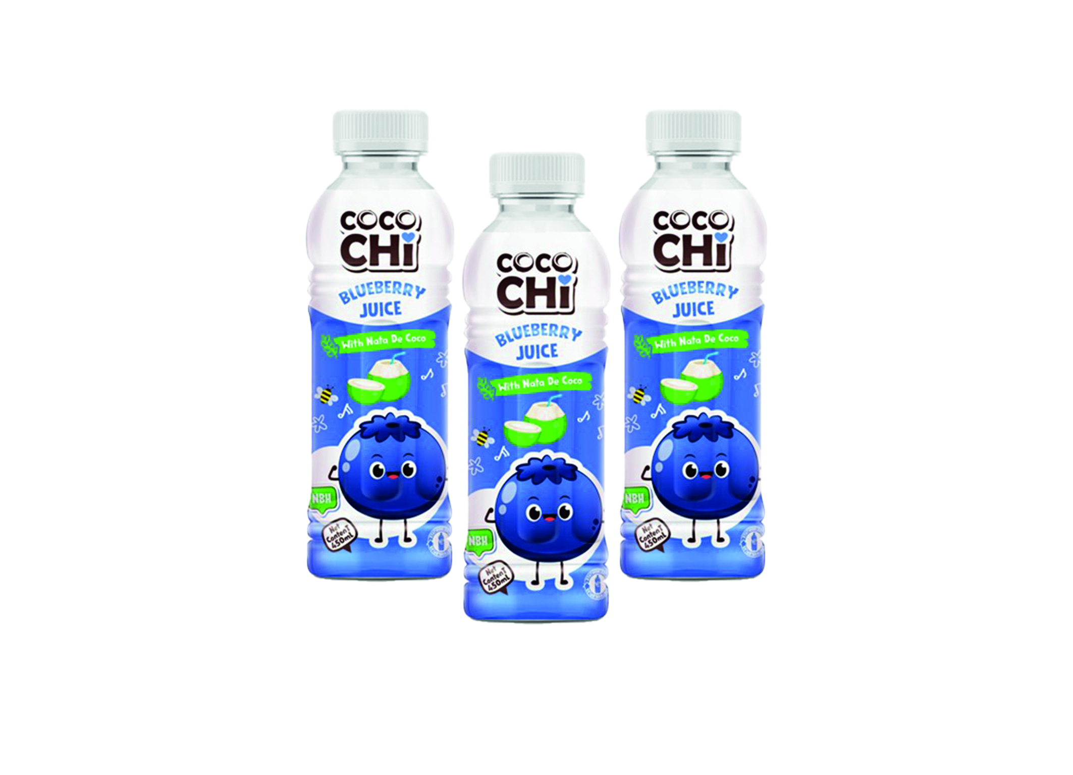(Bild für) Cocochi Blueberry Juice 0,45L PET 24