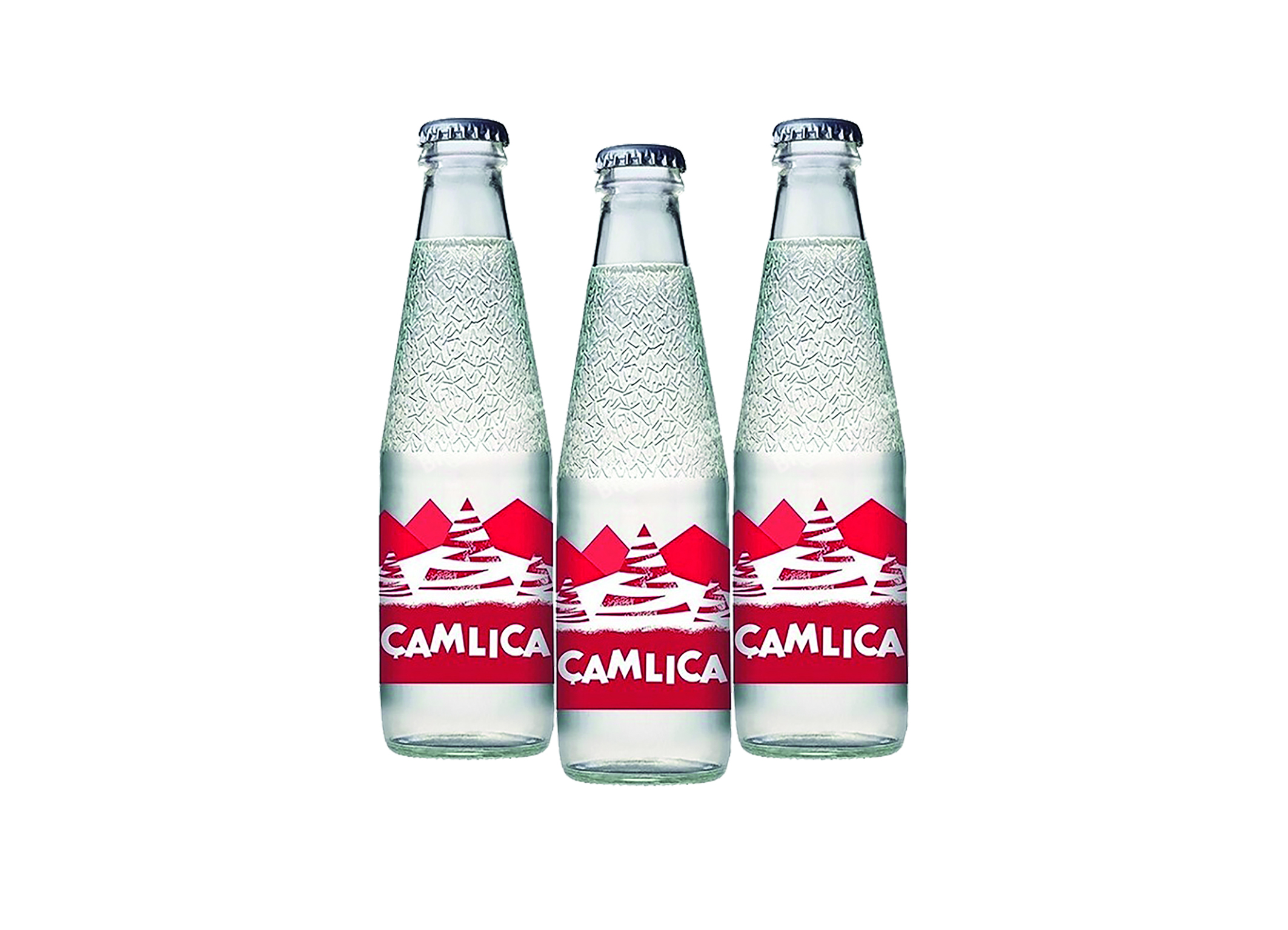 (Bild für) Camlica Gazoz 0,2L FL EW 24