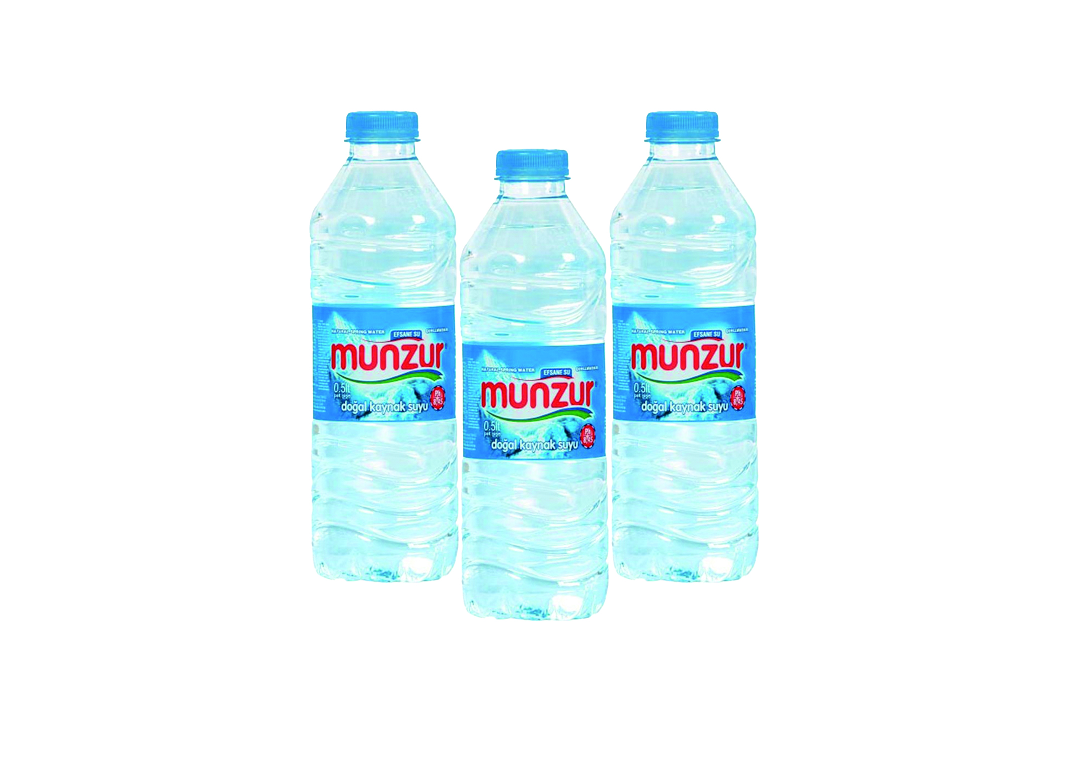 (Bild für) Munzur Quellwasser 0,5L PET 24