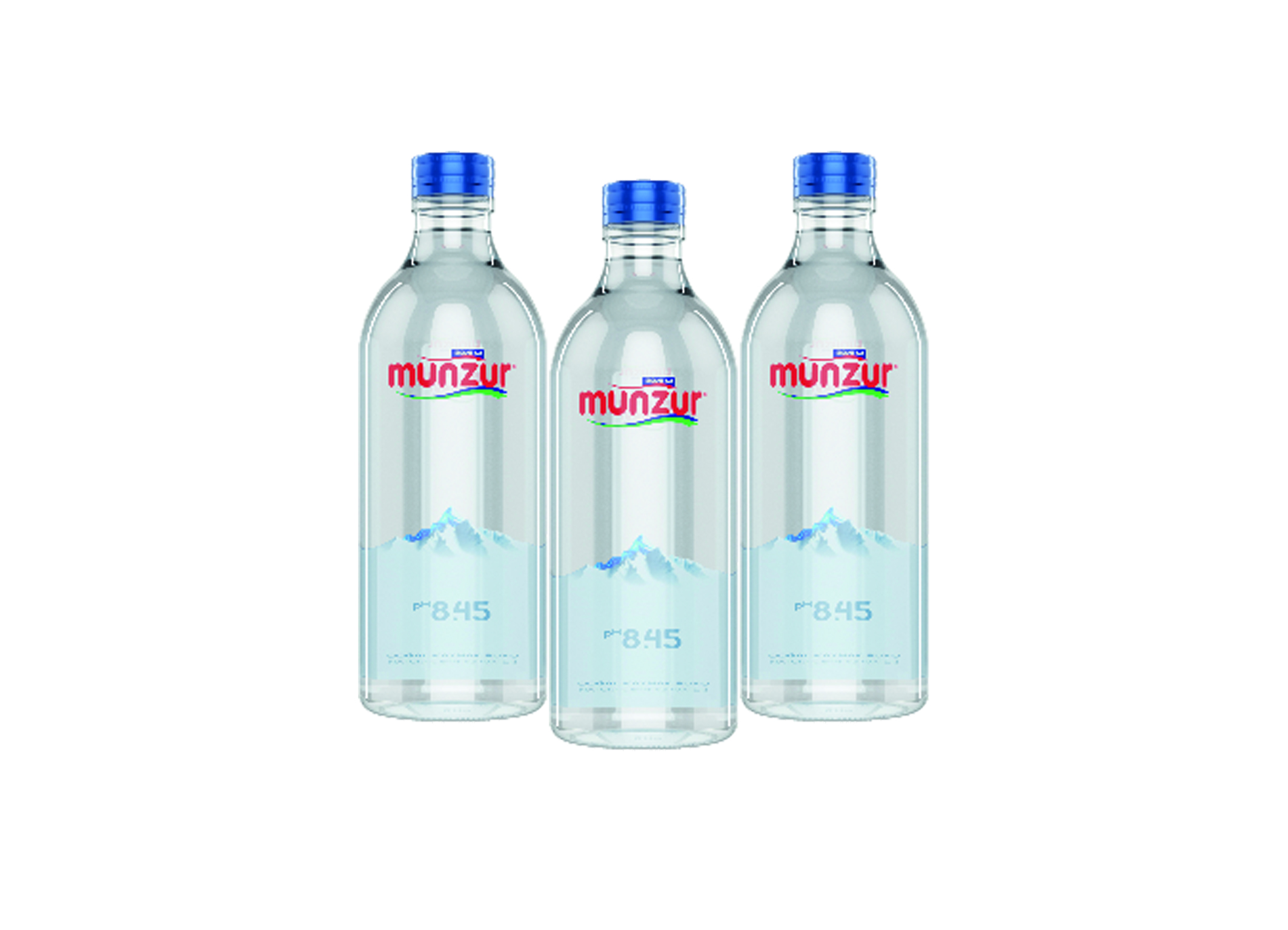 (Bild für) Munzur Quellwasser 0,33L FL EW 12