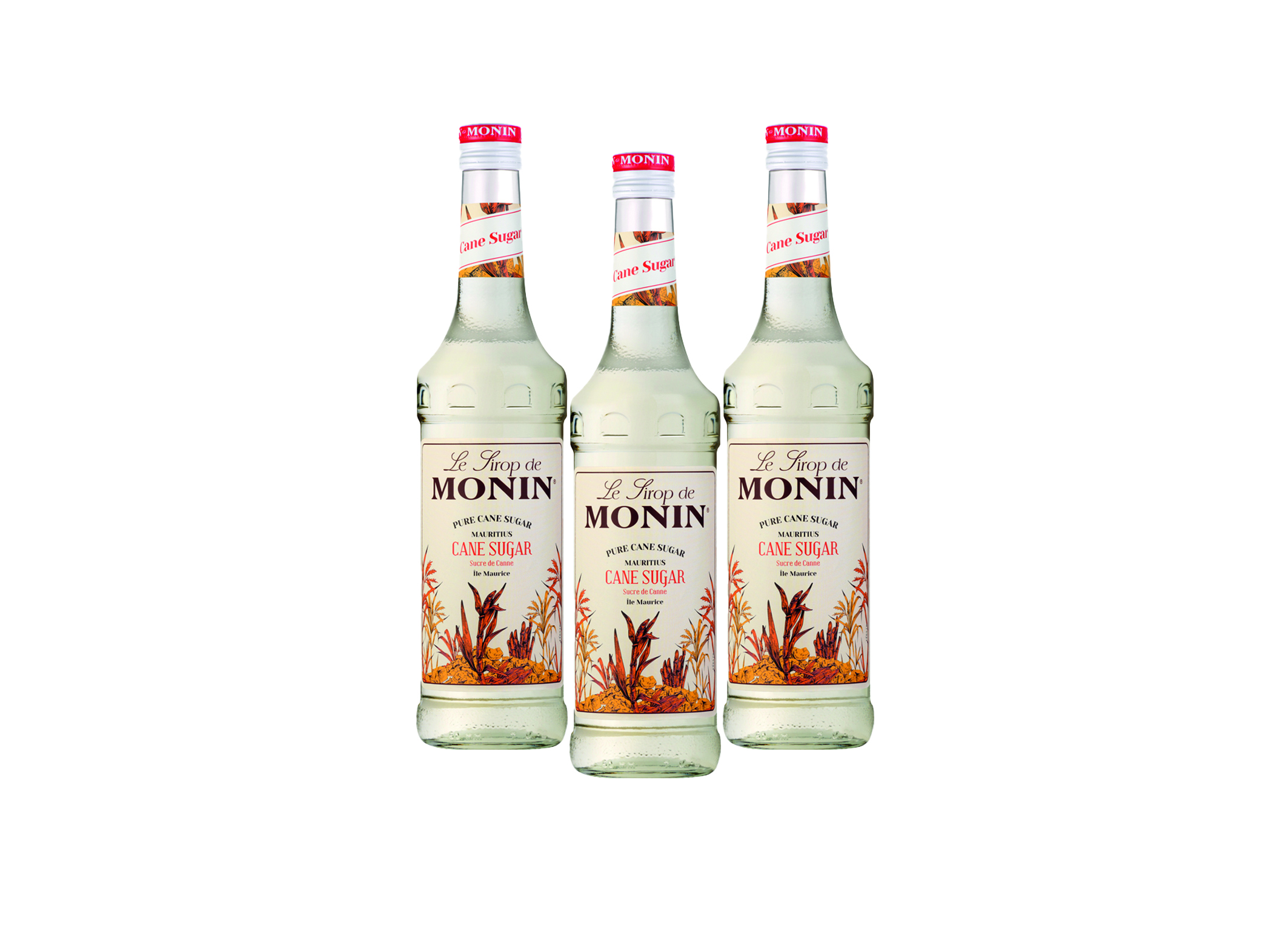 (Bild für) Monin Sirup Rohrzucker 0,7L 1