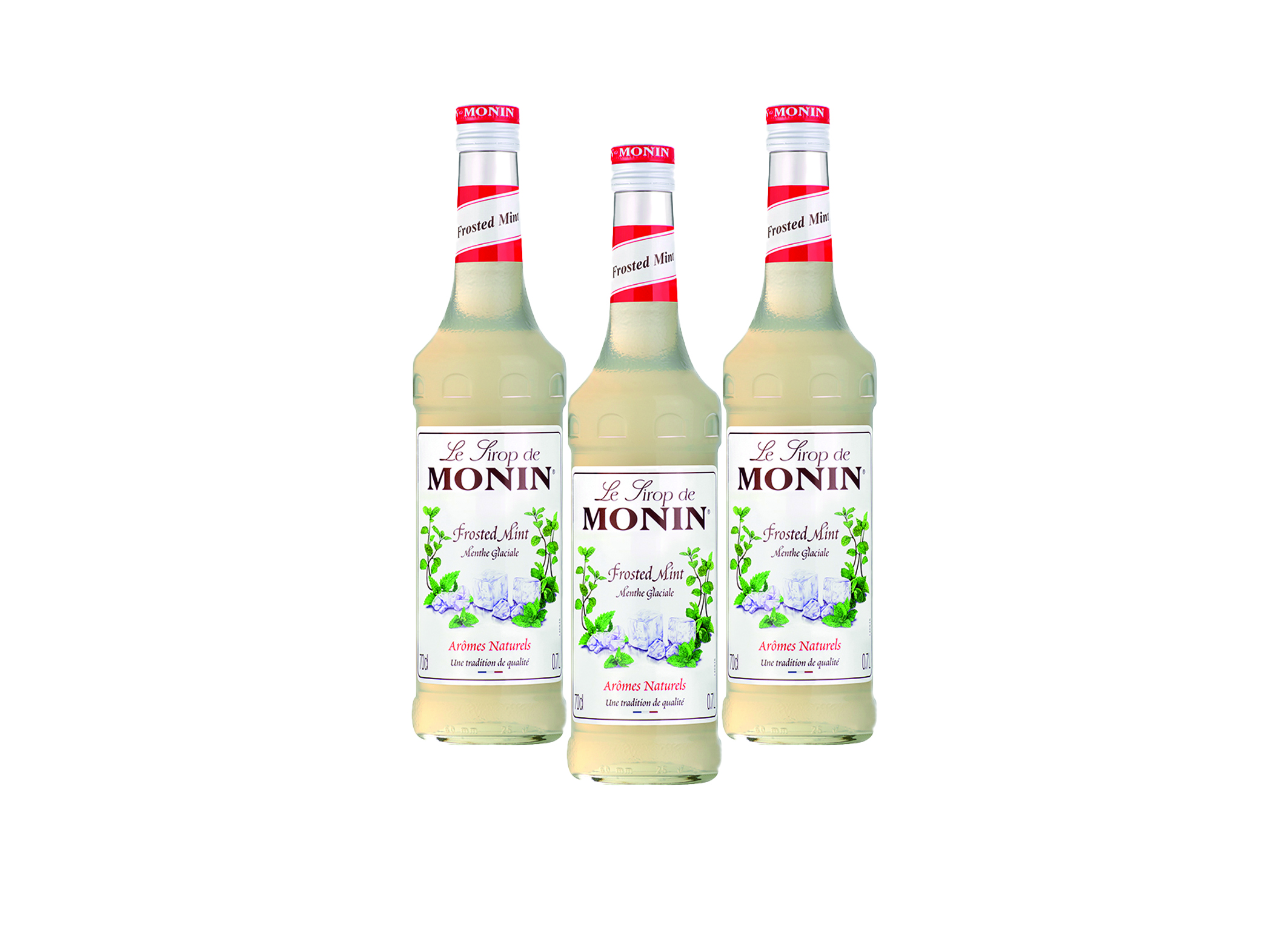 (Bild für) Monin Sirup Minze Weiß 0,7L 1