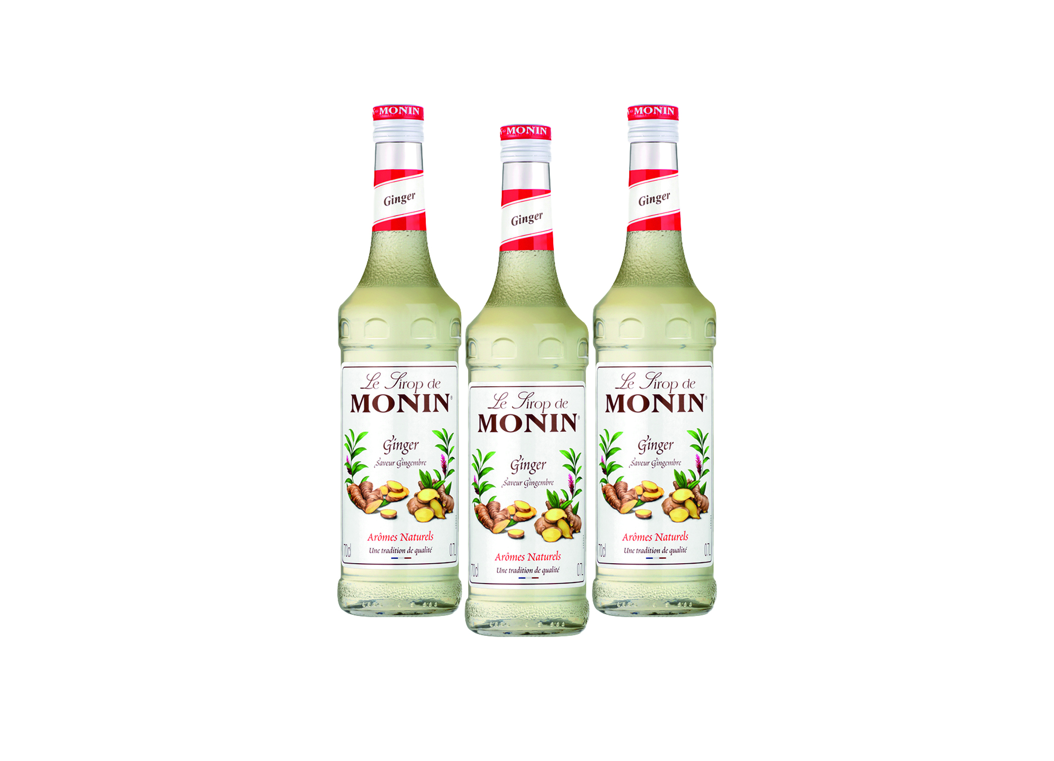 (Bild für) Monin Sirup Ginger (Ingwer) 0,7L 6