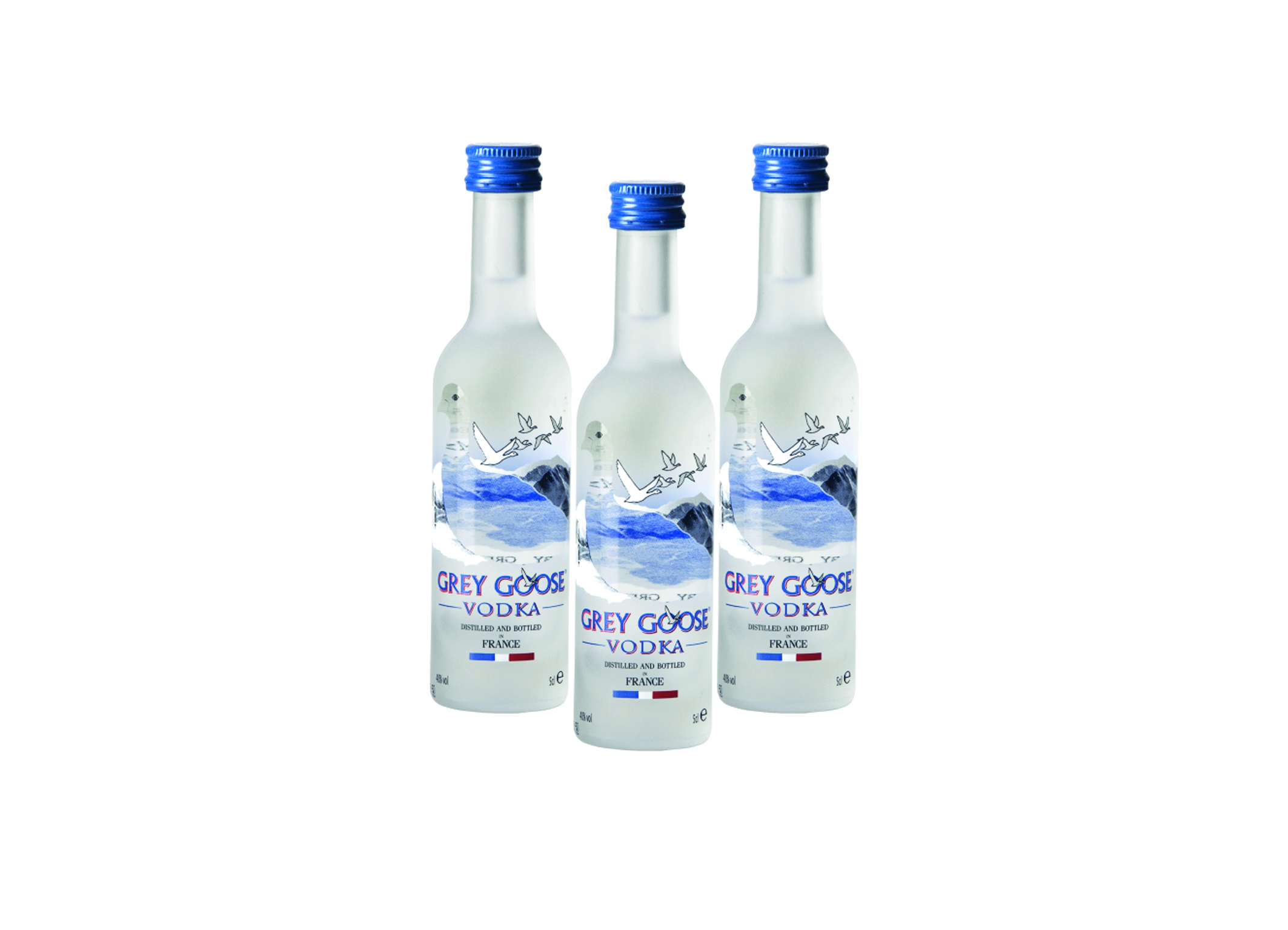 (Bild für) Grey Goose 0,05L 40% 12