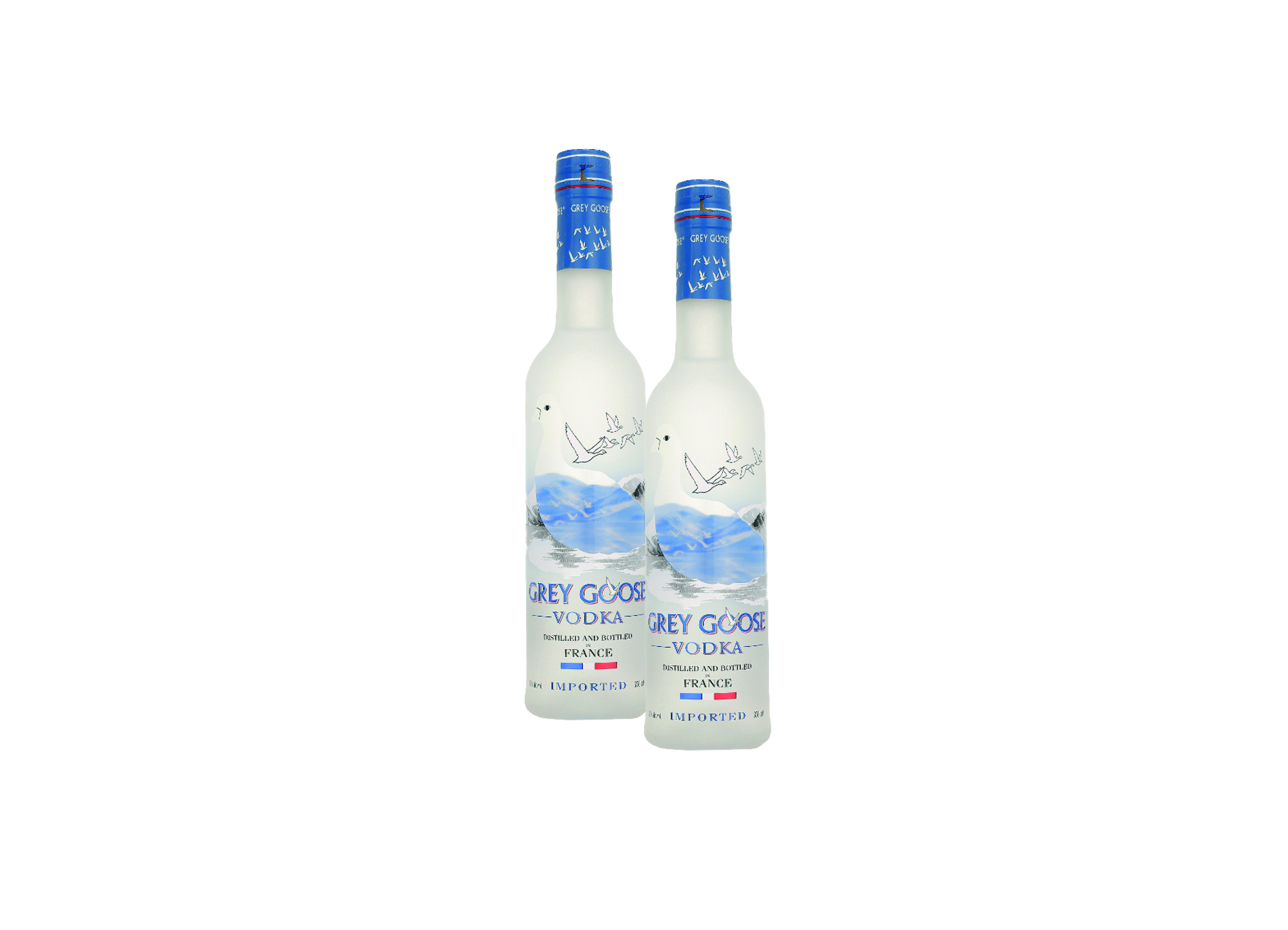 (Bild für) Grey Goose Vodka 0,35L 40% 12