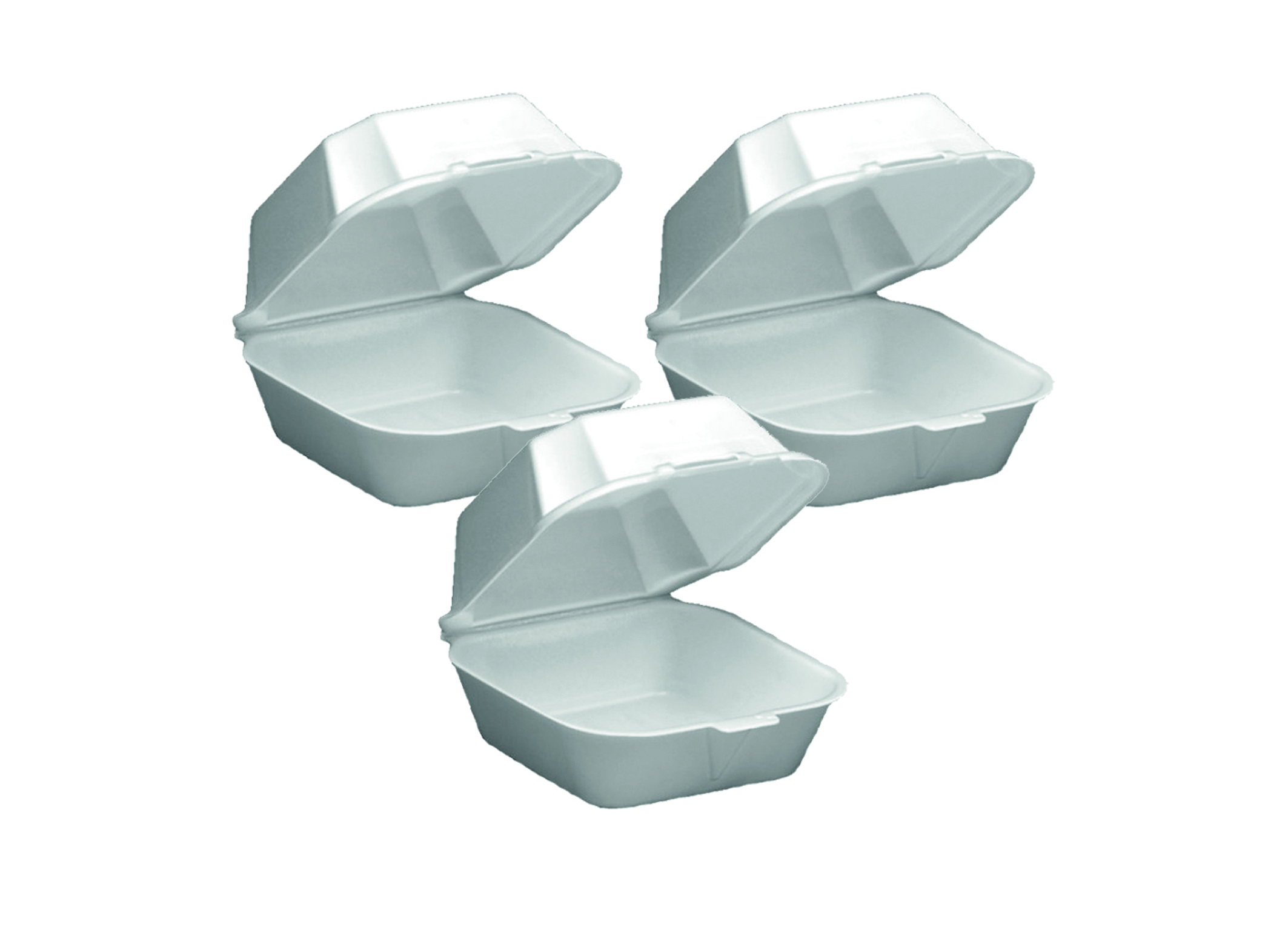 (Bild für) Hamburger Box 6 Styropor 125