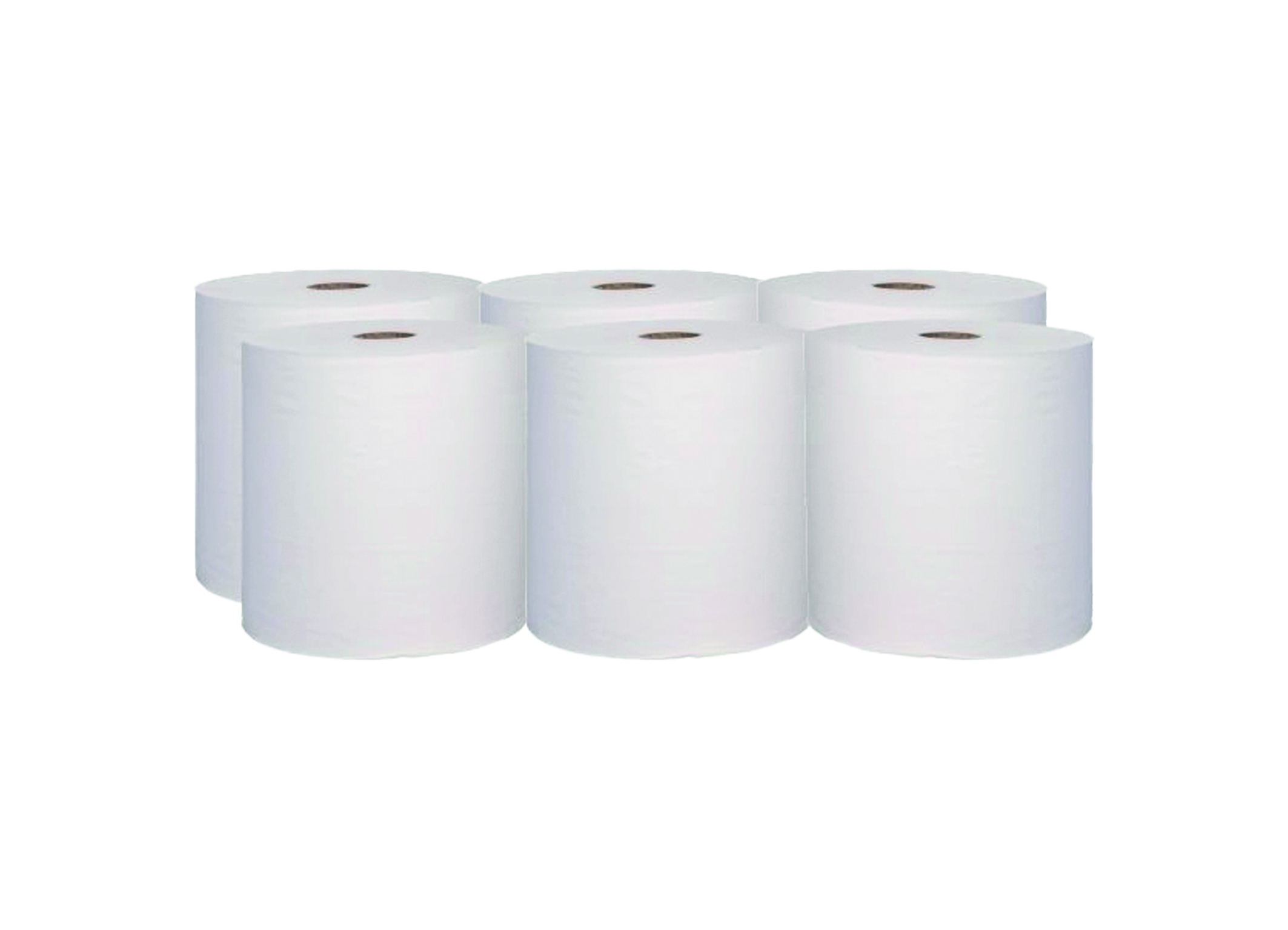 (Bild für) Handtuchrollen 2 lagig 6 Rollen 1