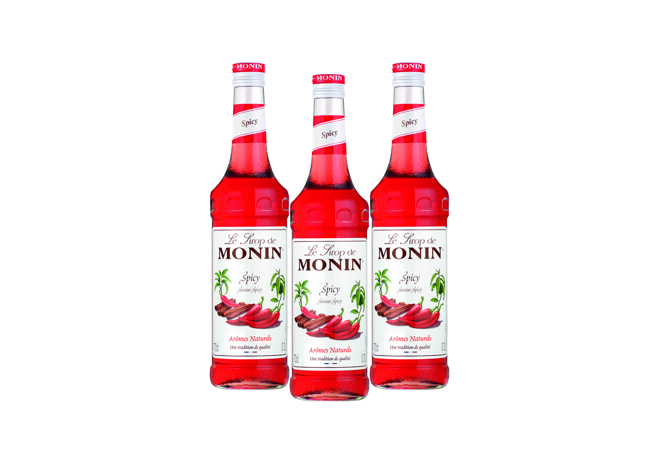 (Bild für) Monin Sirup Spicy (scharf) 0,7L 6