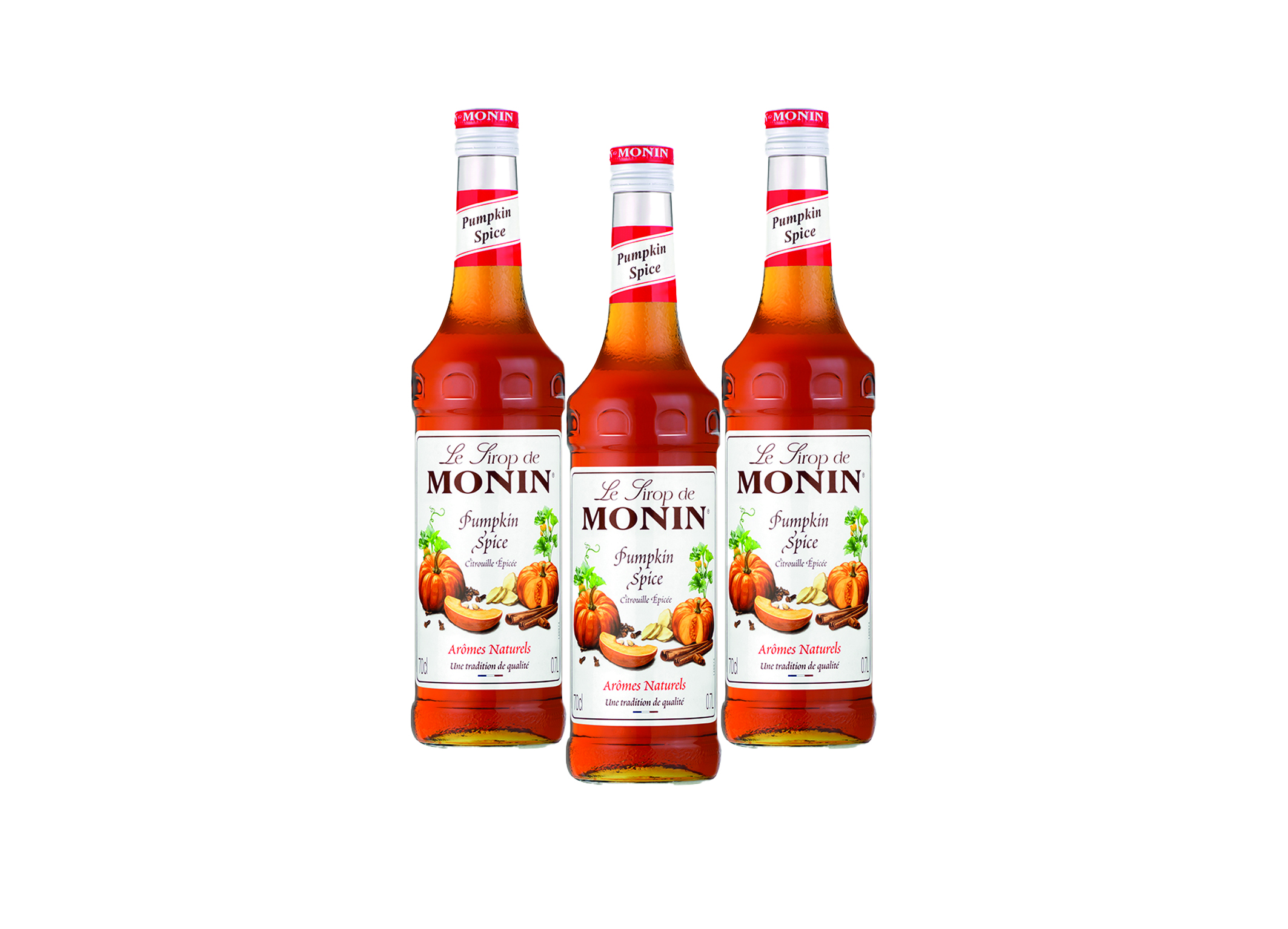 (Bild für) Monin Sirup Pumpkin Spice (Kürbis) 0,7L 6