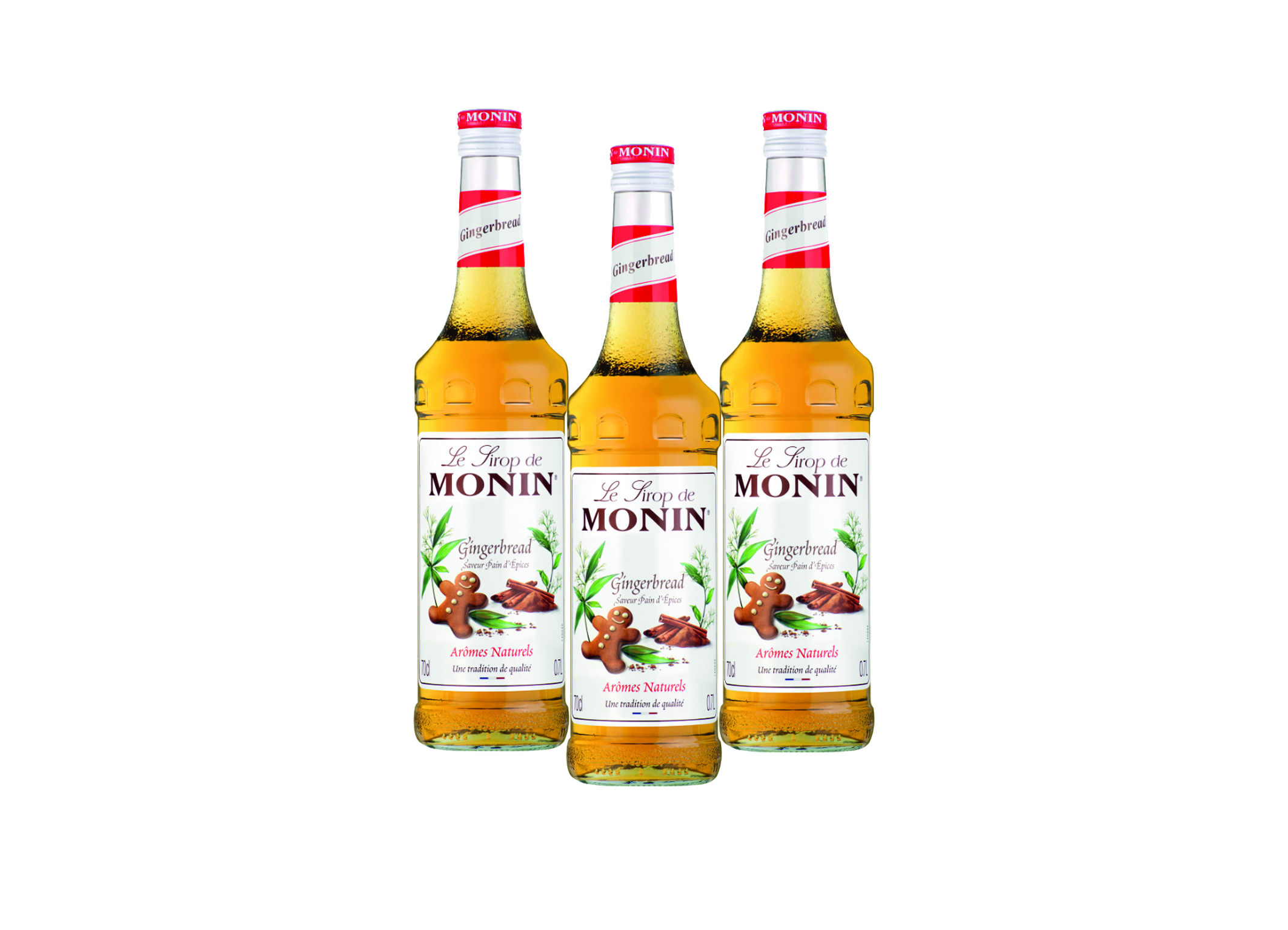 (Bild für) Monin Sirup Gingerbread (Lebkuchen) 0,7L 1
