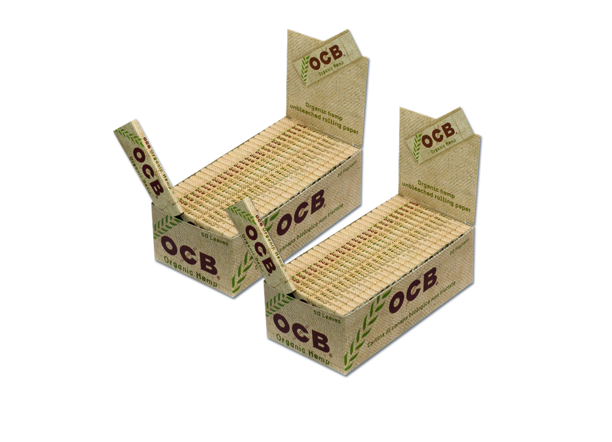 (Bild für) OCB Organic Hemp Papier 50 Blatt 50