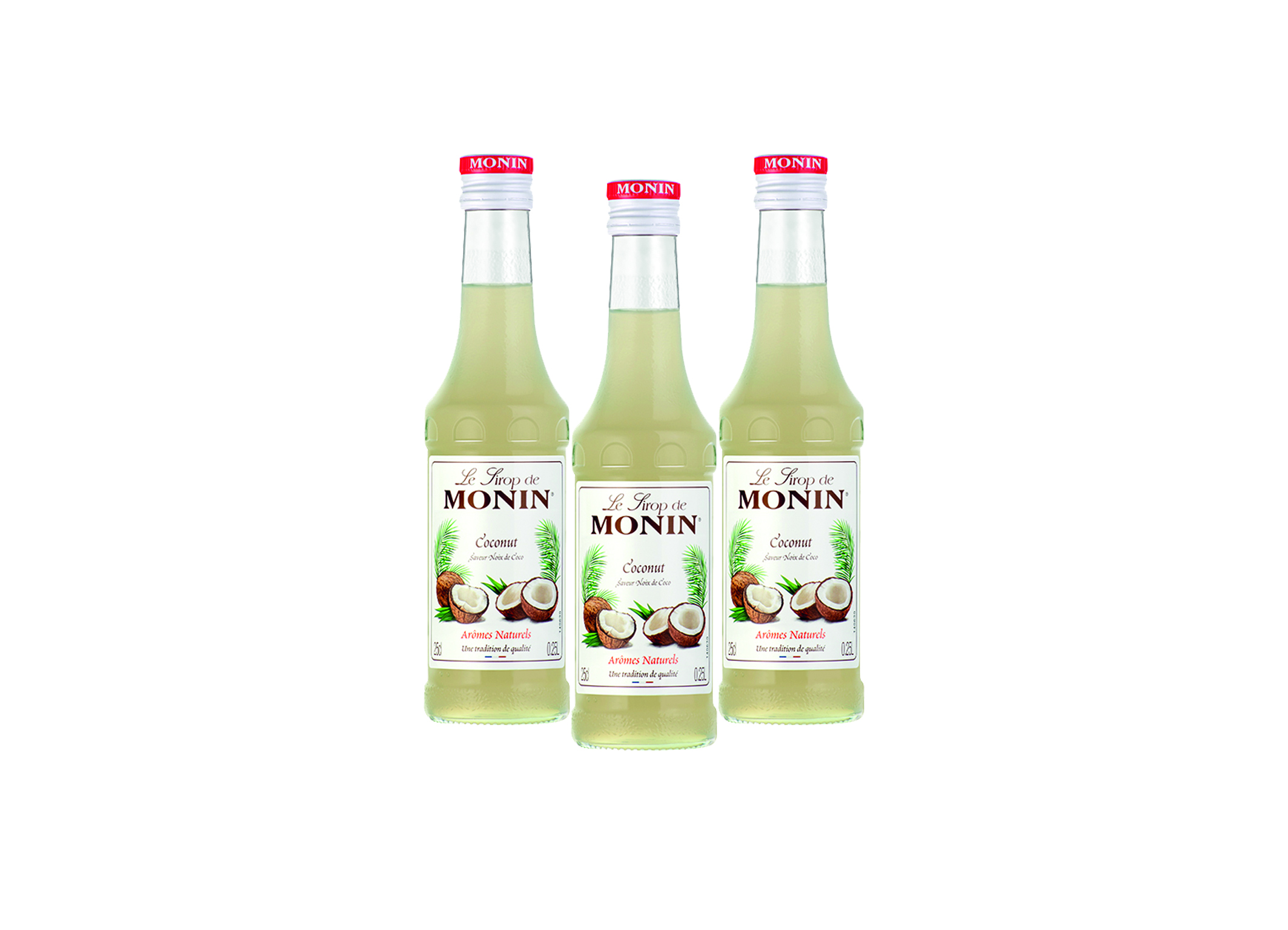 (Bild für) Monin Sirup Kokosnuss 0,25L 6