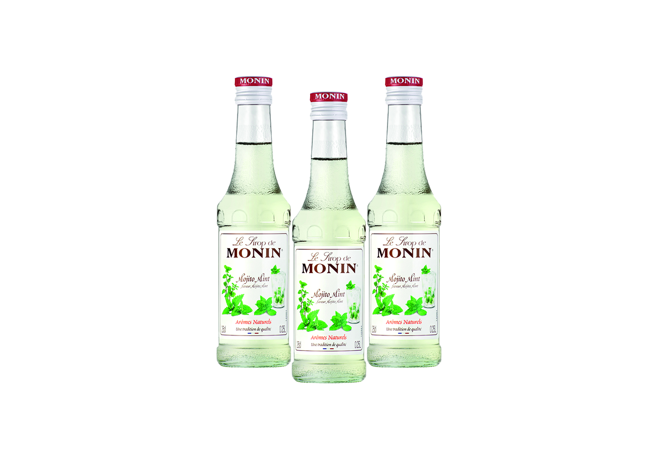 (Bild für) Monin Sirup Mojito 0,25L 6