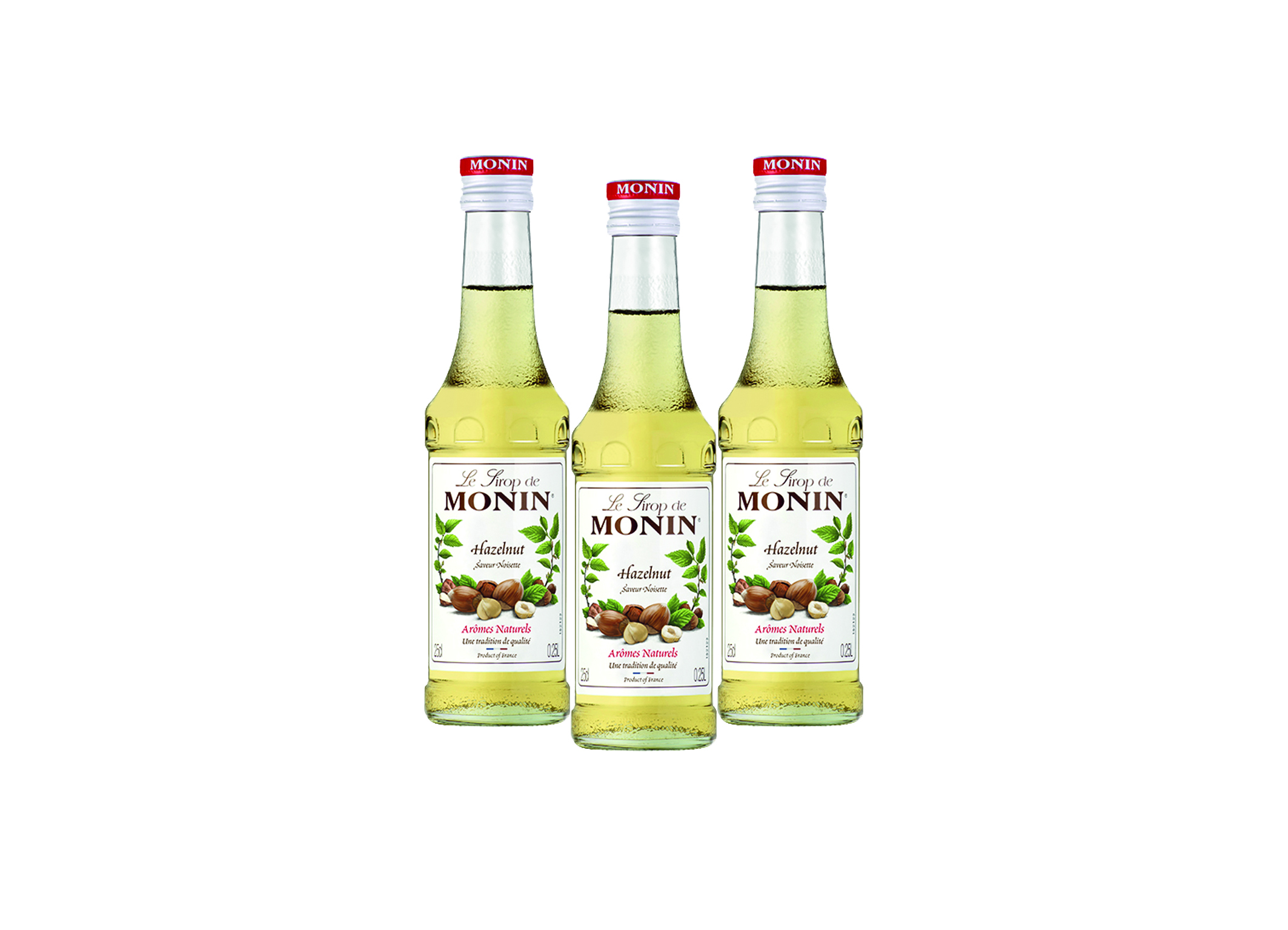 (Bild für) Monin Sirup Haselnuss 0,25L 6