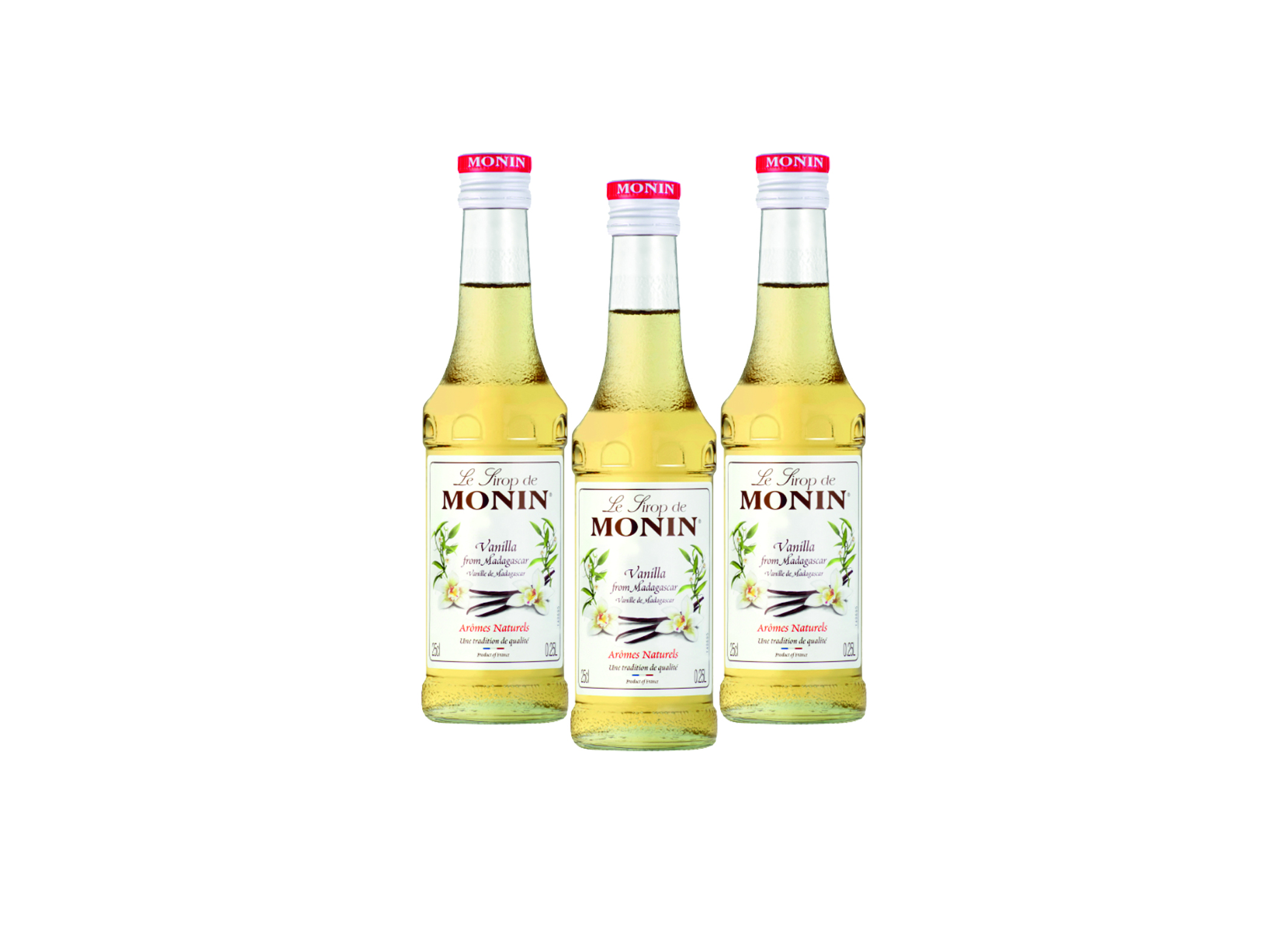 (Bild für) Monin Sirup Vanille 0,25L 6