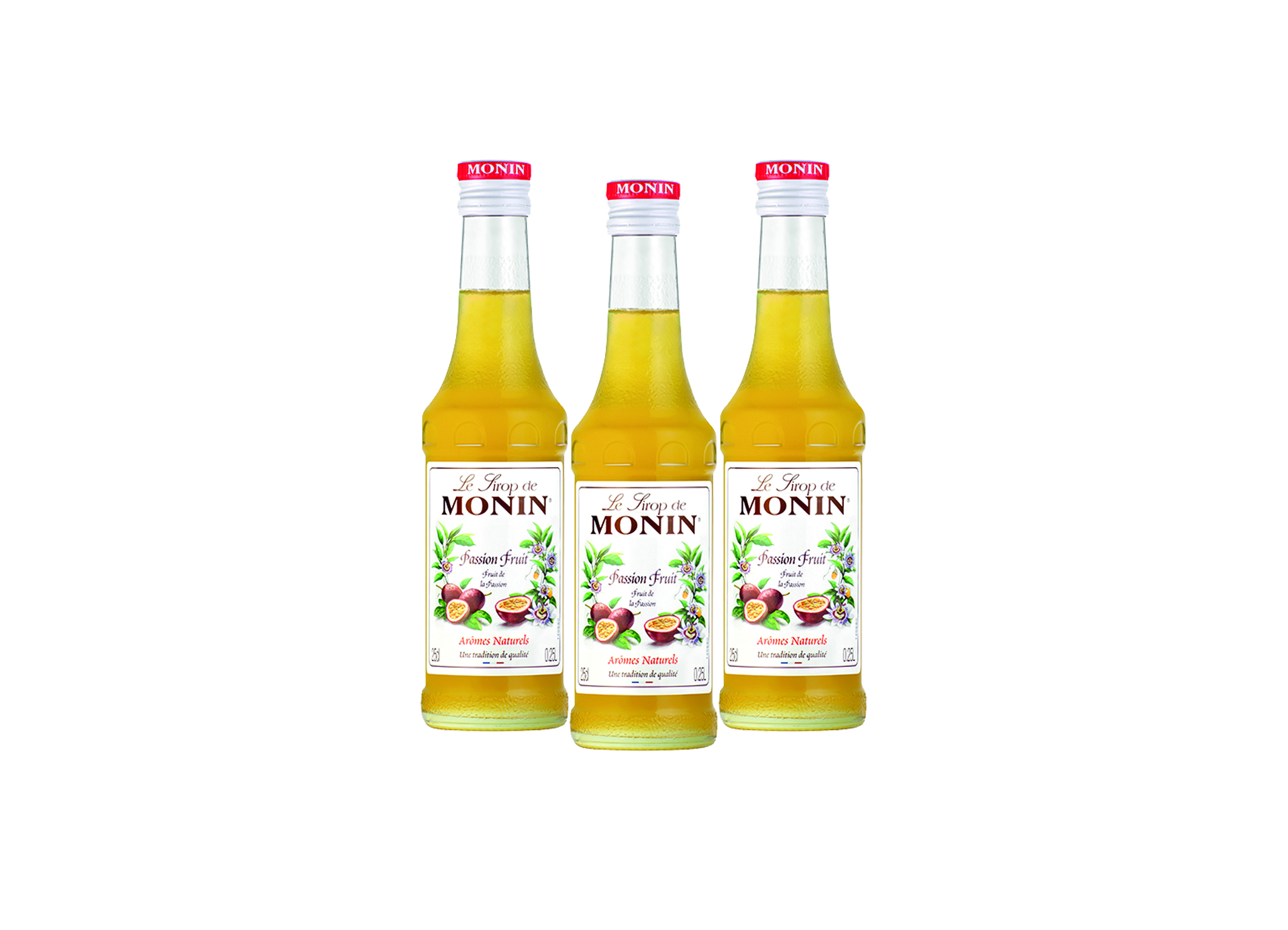 (Bild für) Monin Sirup Maracuja (Passion) 0,25L 6