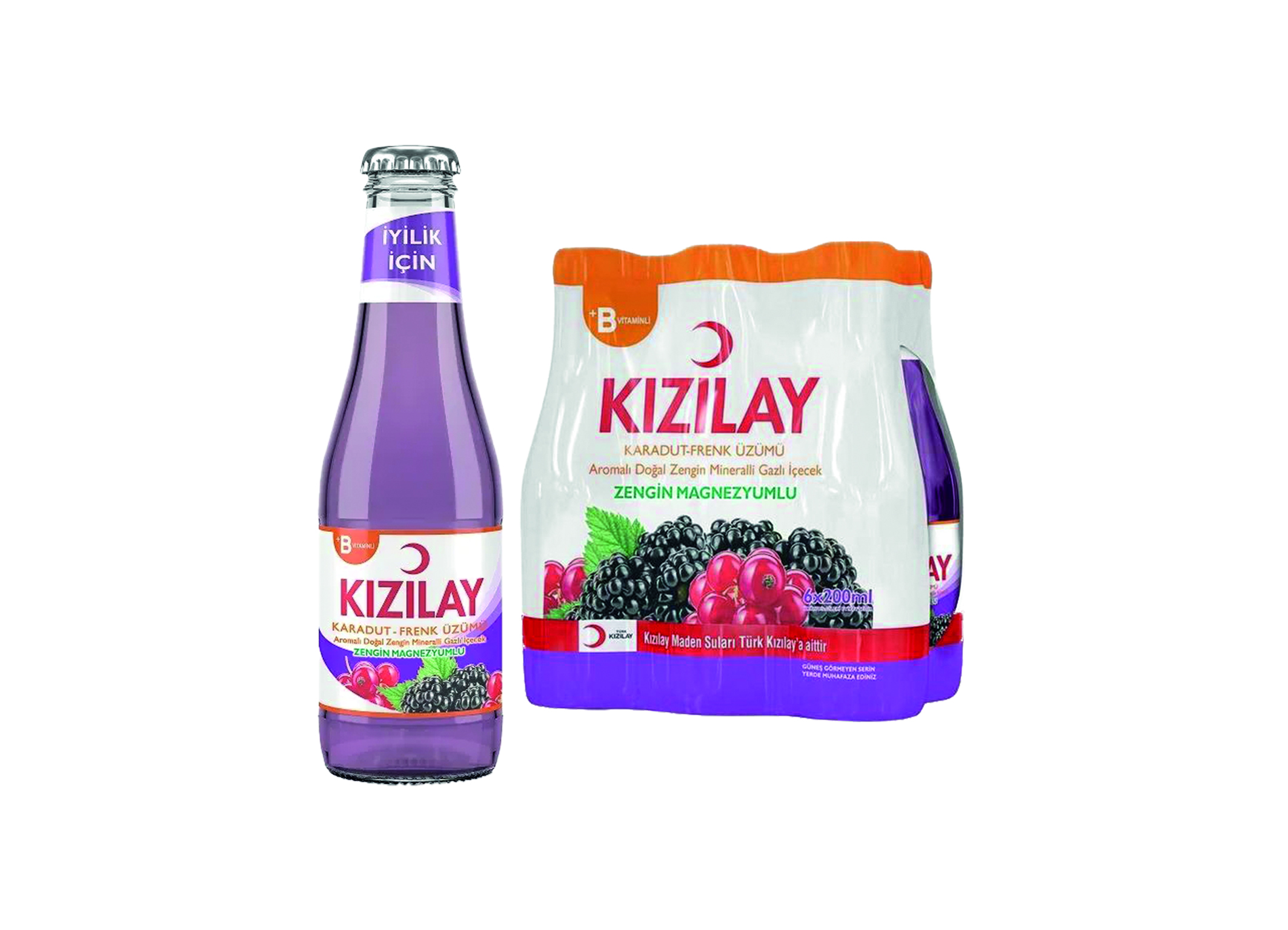 (Bild für) Kizilay Brombeer-Johannisbeere 0,2L FL EW 24