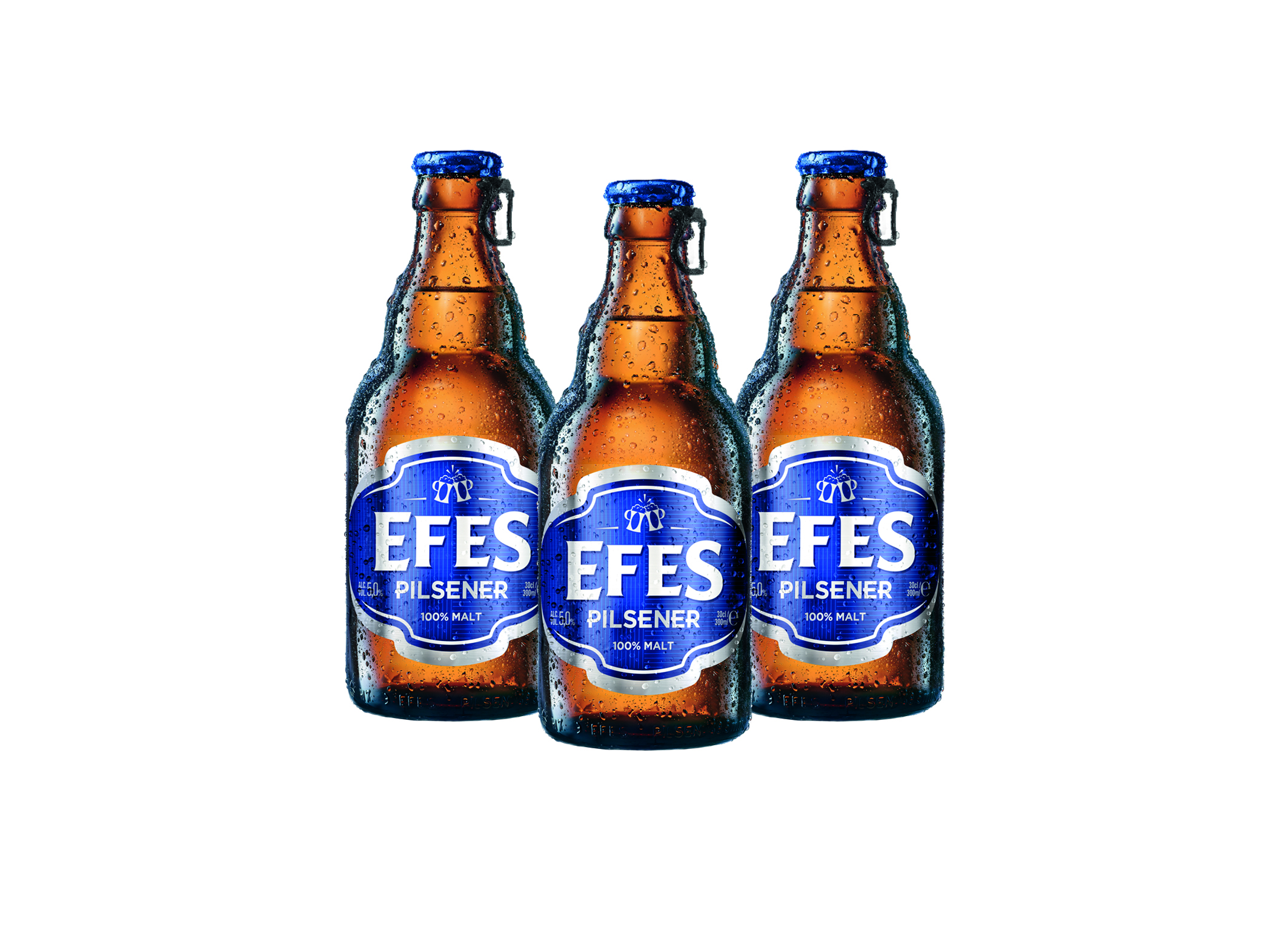 (Bild für) Efes Serce 0,3L FL EW 24