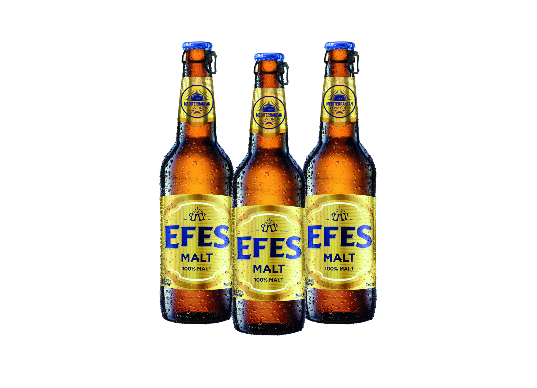 (Bild für) Efes Malt 0,25L FL EW 24